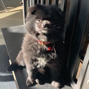 Meet your Posher, Jason